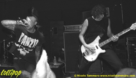 Ashers - Harper
