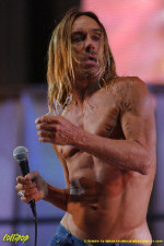 Iggy Pop - Randall's Island, NYC August 2004 | Photos by Kristin Callahan