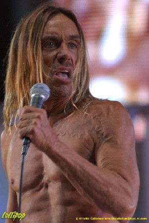 Iggy Pop - Randall's Island, NYC August 2004 | Photos by Kristin Callahan