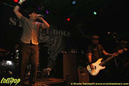 Street Dogs - Harper's Ferry Allston, MA September 2008 | Photos by Nicole Tammaro