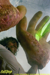 The Flaming Lips - Mountain Park Holyoke, MA July 2010 | Photos by Lisa Schuchmann