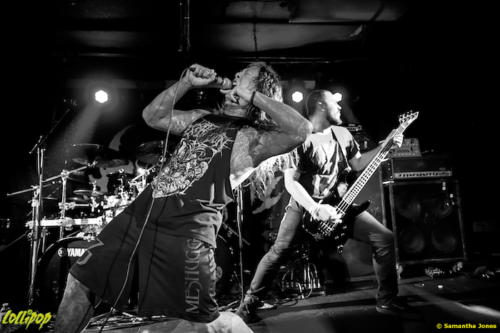 Gorgatron - El Corazon Seattle, WA November 2025 | Photos by Samantha Jones