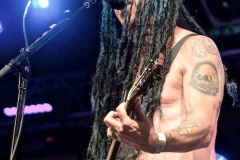 NOFX - Motocultor Festival Brittany, France August 2019 | Photos by Bruno Colliot