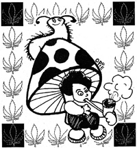 Reefer Blandness