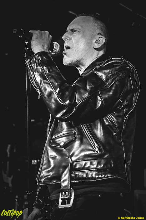 Screeching Weasel