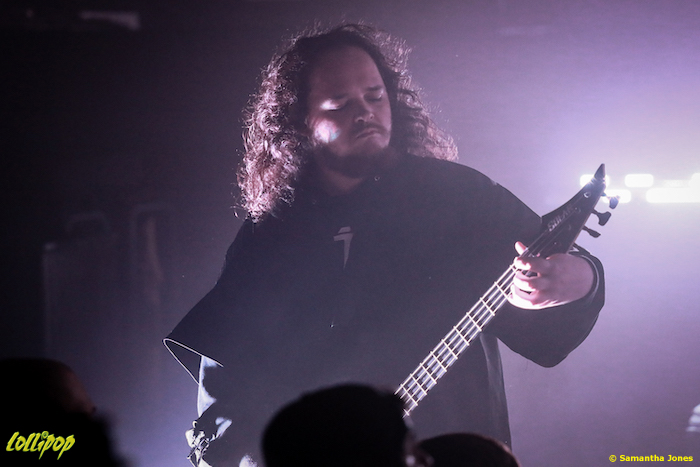 Signs of the Swarm - El Corazon Seattle, WA September 2024 | Photos by Samantha Jones