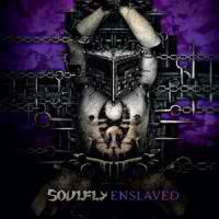 soulfly200