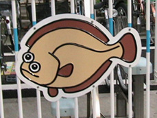 culture-trippingfish